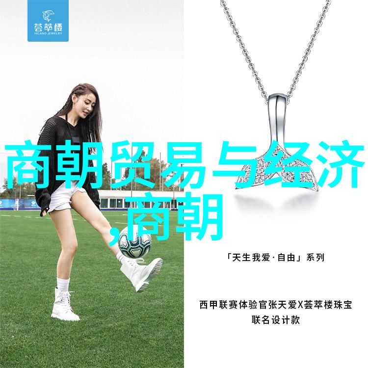 南宋崩溃后的历史篇章明朝的兴起与中国的新纪元