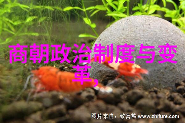 明朝重要事件发生顺序我来告诉你那些让人印象深刻的故事