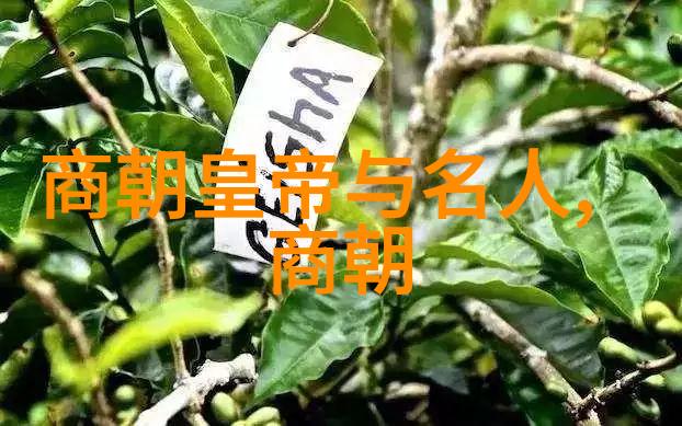 偏偏偏爱你-深情的纠缠为什么我们总是偏偏偏爱你