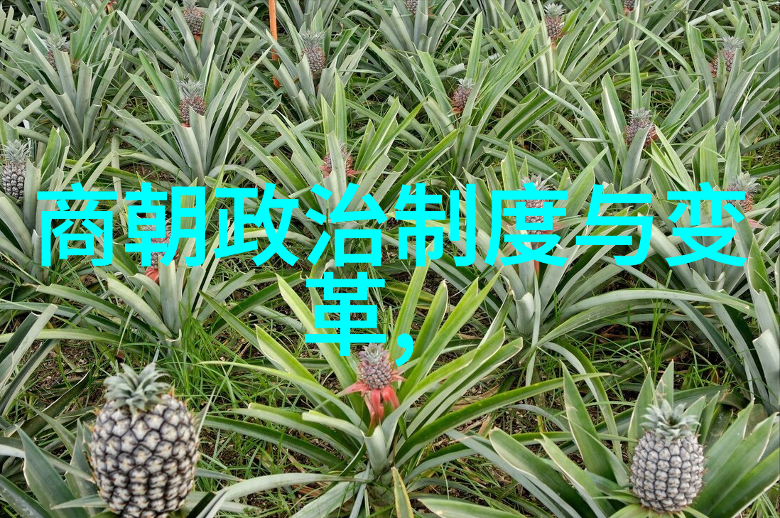 日本古代关于月之御魂的信仰是什么