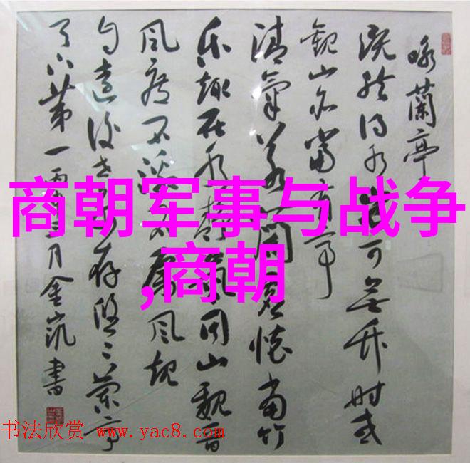 历史探究-元朝征服与外族融合重构蒙古帝国在中国的统治命运
