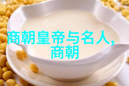 千年江山南宋与北宋的历史纵横