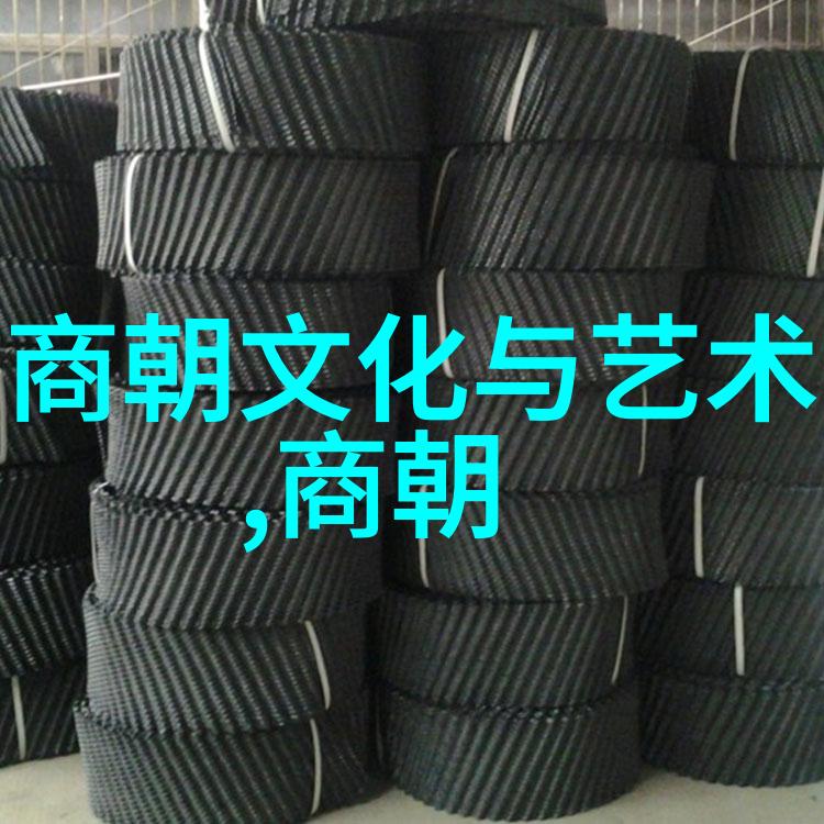 明朝皇帝的继承顺序之谜探索历史上的皇位更迭