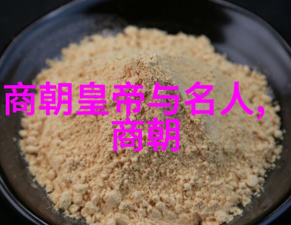 明朝盛衰交错辉煌与挫折的交响曲