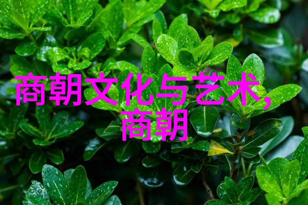 明末清初边疆之战农民起义与满洲入关的历史转折点