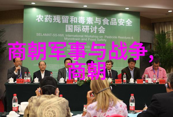 明朝16位君主的辉煌篇章龙脉绕指行天下