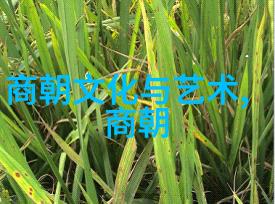 明朝 排名顺序 - 明代官员职级体系的演变与影响