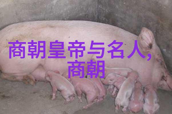 择天记txt我在仙界的奇遇日记