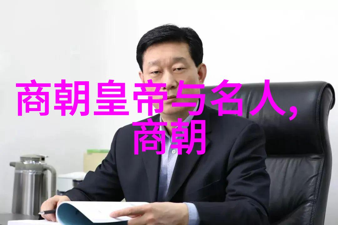 元代的历史背景征服与和平的交织