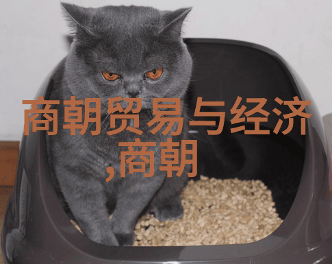 明朝皇帝序列图解从洪武至崇禎的统治者脉络