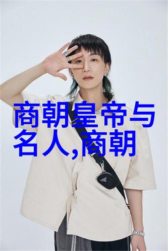 探秘明朝风云王思聪的权谋与江湖恩怨