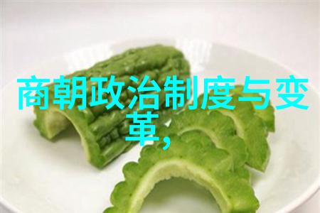 历史朝代时间轴穿越时光的纵卷书页