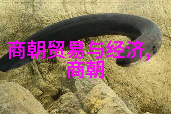 寂寞女邻居伦理邻里间的温馨相处