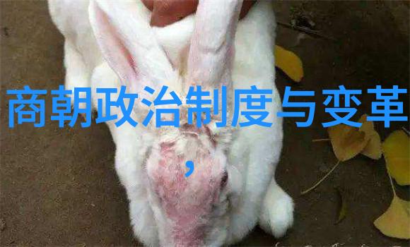 中国古代经典奇案老子当年遇见的那个神秘失踪事件
