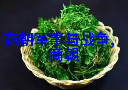 南明朝监国笑傲江湖的那些人