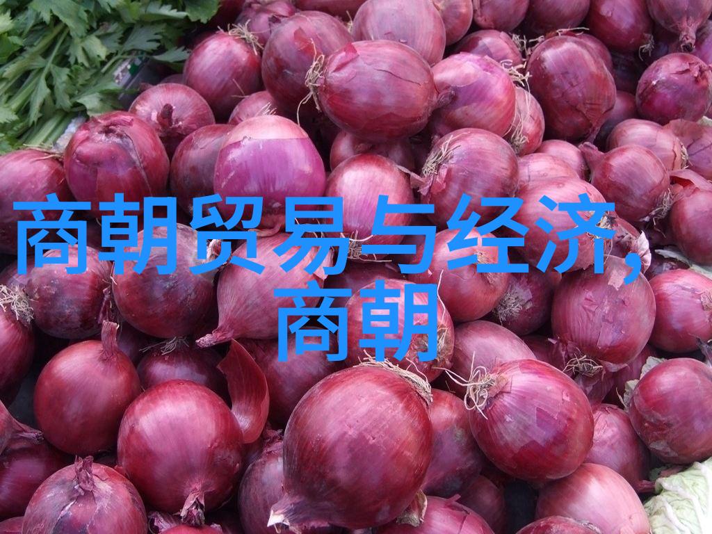世界趣事奇闻神秘古城的时间悖论