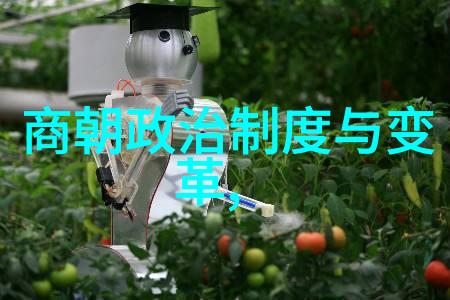 朱允文妻子结局探究一场历史悲剧中的女性命运考量