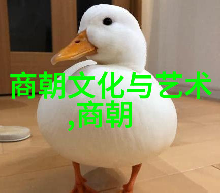 北宋灭亡咱们来看看怎么回事吧