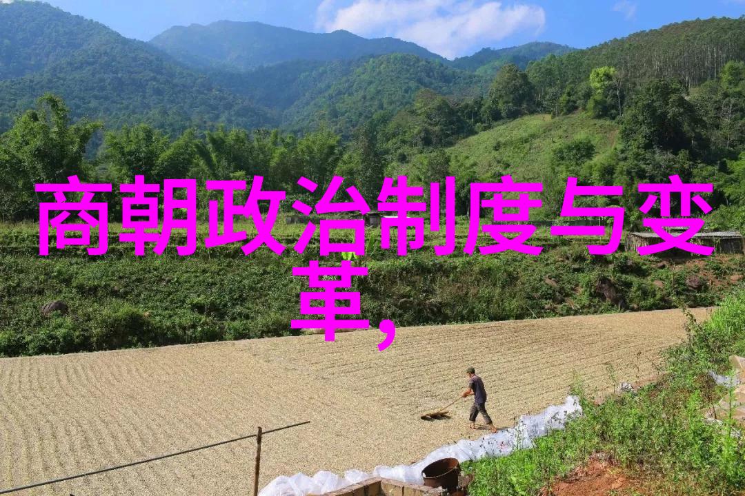 乾隆帝与雍正皇的复杂纠葛背后的权力之战与情感的阴影