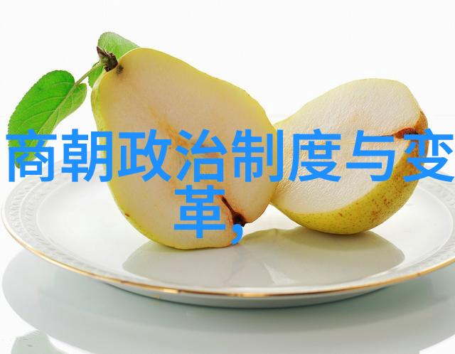 元朝的都市和文化我在元朝的大街小巷繁华与辉煌的见证
