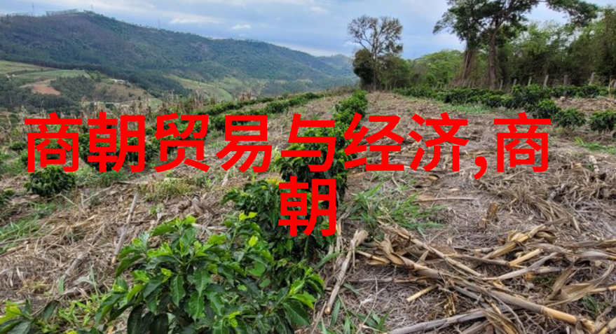 宋代社会变化的表现古代中国政治经济文化演变