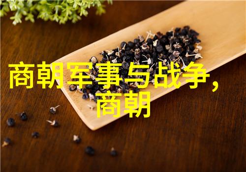 明史中对明朝历史有什么重要的记录和解读
