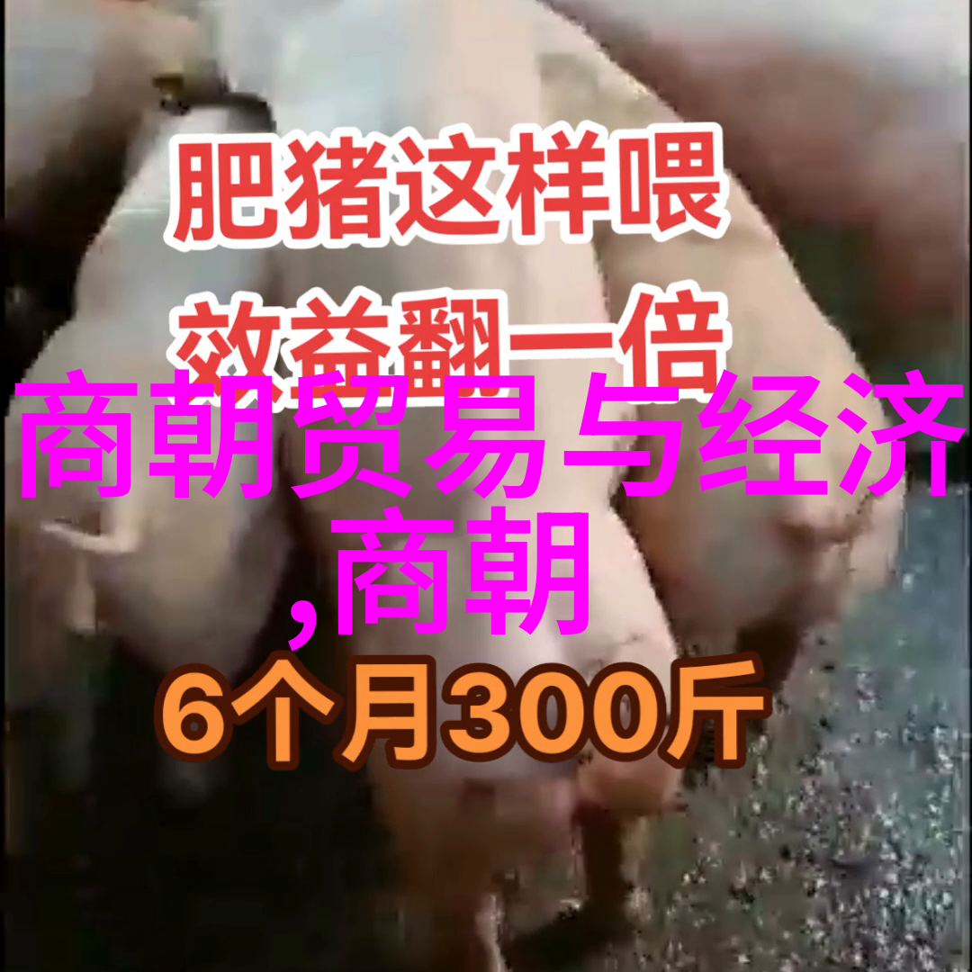 旦角为什么是男的物品中的京剧尚派王艳