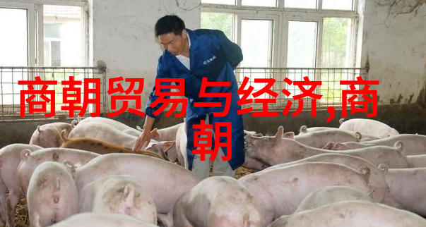 笑傲千秋中国历史朝代的幽默简图