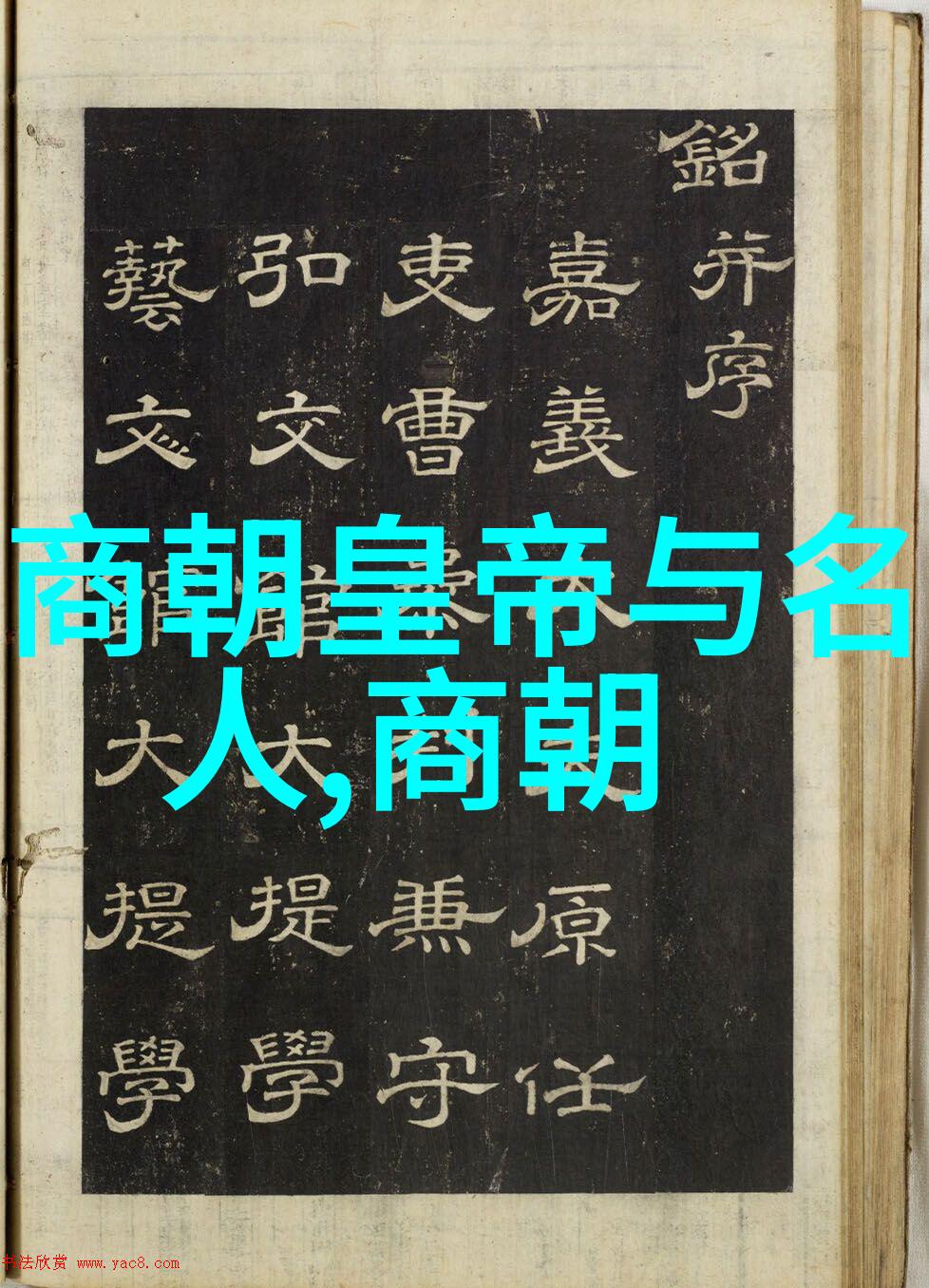 南宋社会的演变与新兴阶层的崛起