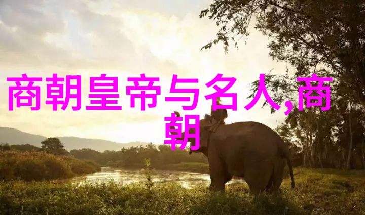 学校宣传片中的最荒唐镜头背后故事揭秘