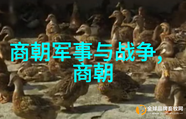 明朝英杰录揭秘江山社稷的第一流才子
