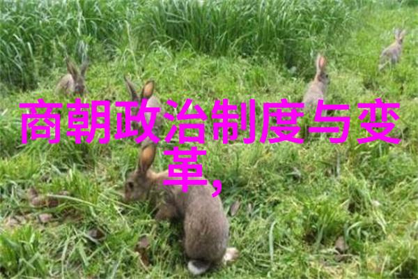 穿梭时空的余晖万历之后的秘密篇章