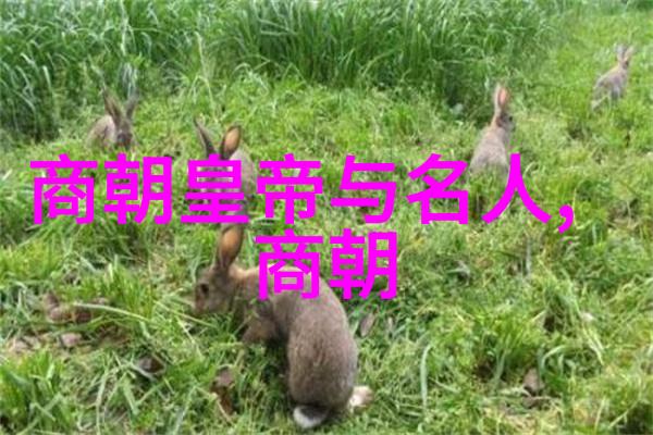 历史长河中的国度篇章古代中国朝代的辉煌与广阔