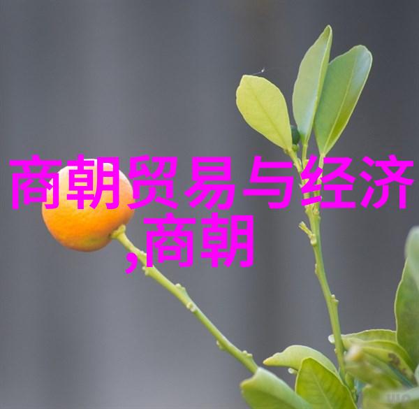 争权夺位下的短命王储解读朱瞻基的一生
