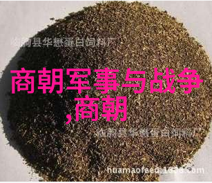 元朝对老百姓好吗-草原上的民生元朝政策与老百姓的生活
