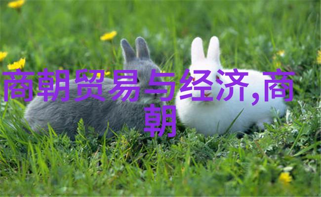 时光荏苒探索明朝历史的迷雾
