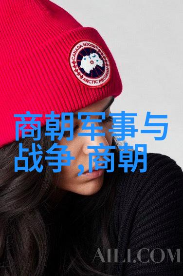 在历史学家的眼中明亡清兴是否只是一个简单的事实变化而非深刻社会结构变迁