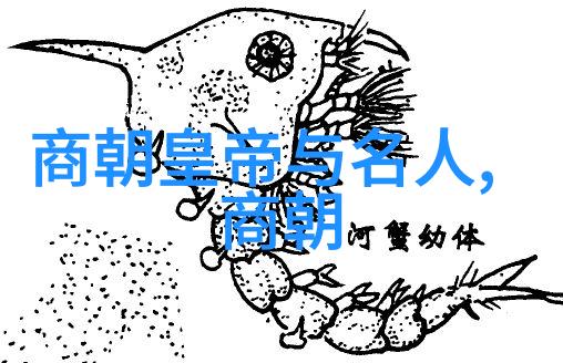 盛世文治宋朝的政治与文化辉煌