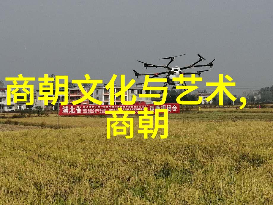 皇家血统与荣耀分析博果尔之母这一称号背后的深意