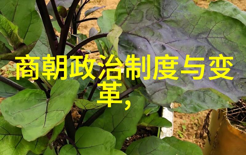 不为人知的古代传说英雄探秘古代神话中的英勇人物