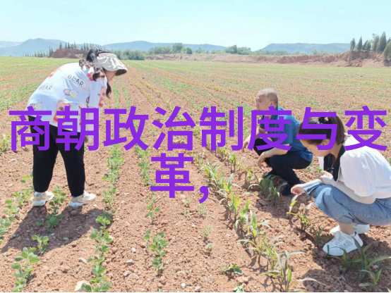 宋朝宗教信仰与文化传统共生还是冲突