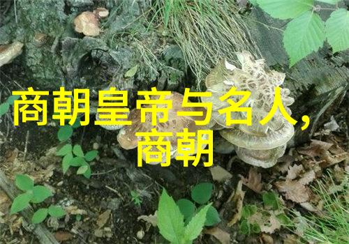 刘伯温为何仅封号称伯刘基的封号与其人生背景探究