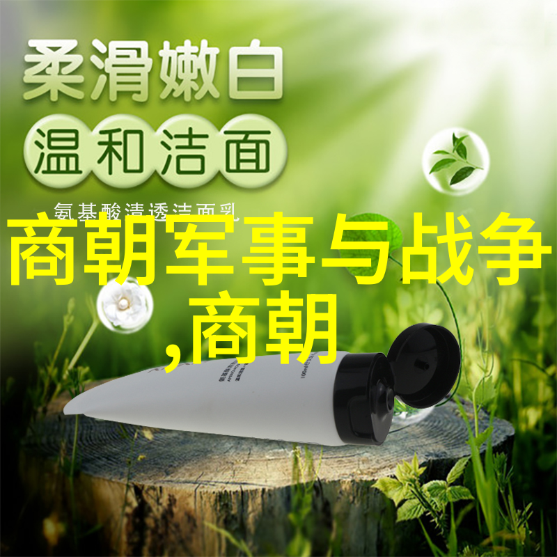 明朝历史巨变从永乐之旅到崇祯末日的沧桑变化