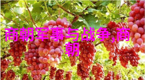 闫玉龙河南豫剧包公辞朝全场戏笑料十足