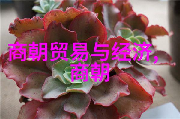 中国风光巡礼探索历史与自然的奇迹