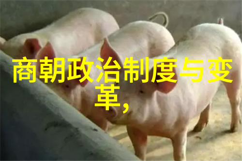 石永贵云南苗族地区的一位反抗领袖