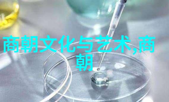 明朝烽烟录大逆之变与万历十五年的政治风云