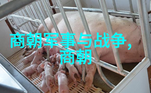 天命不再考察康熙帝最后一年的病情及可能导致他去世的原因