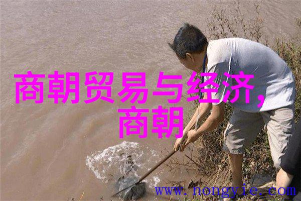 明朝血脉纹理世系之韵与变迁的抽象图谱