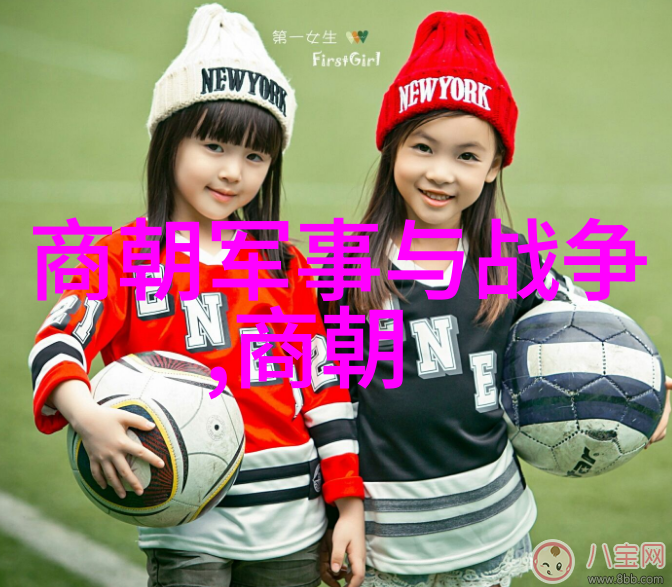 元朝历史回眸从忽必烈登基到明朝开国的辉煌岁月